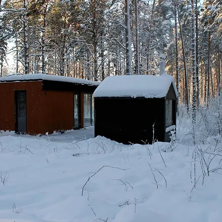 Minimaja Ja Saunamaja Vaatega Maennimetsale Syytme