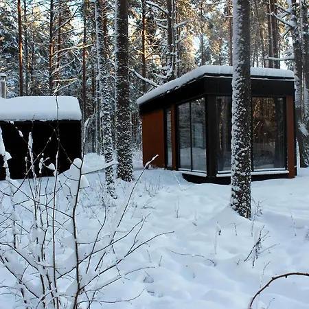 Minimaja Ja Saunamaja Vaatega Maennimetsale Syytme