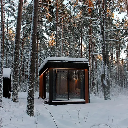 Minimaja Ja Saunamaja Vaatega Maennimetsale