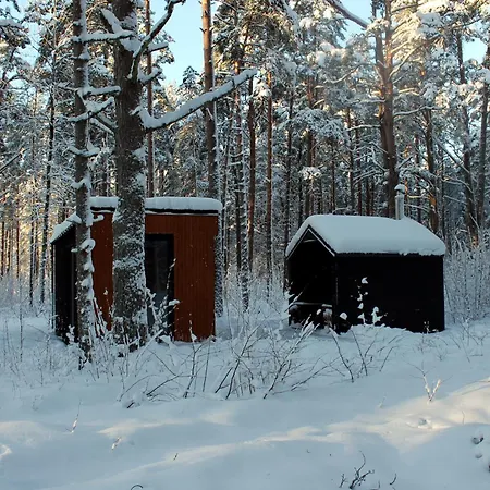 Minimaja Ja Saunamaja Vaatega Maennimetsale Syytme