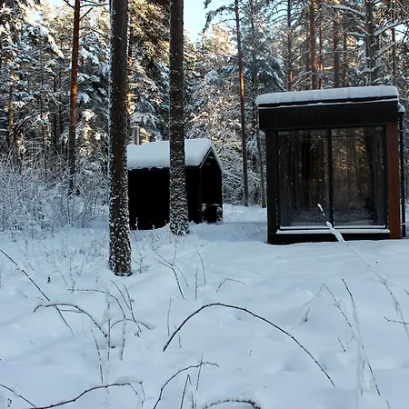 Minimaja Ja Saunamaja Vaatega Maennimetsale