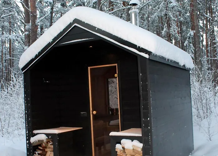 Minimaja Ja Saunamaja Vaatega Maennimetsale