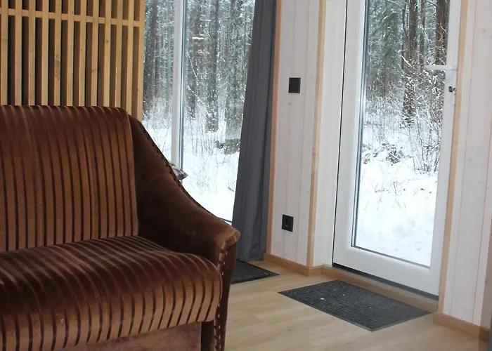 Minimaja Ja Saunamaja Vaatega Maennimetsale Apartmán Syytme