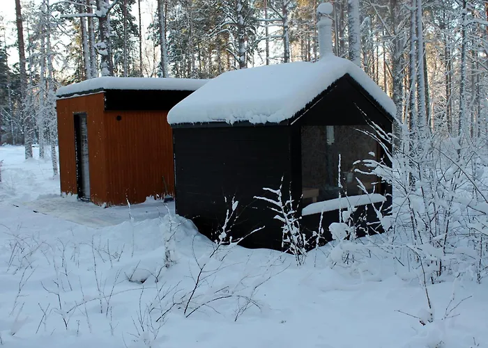 Minimaja Ja Saunamaja Vaatega Maennimetsale