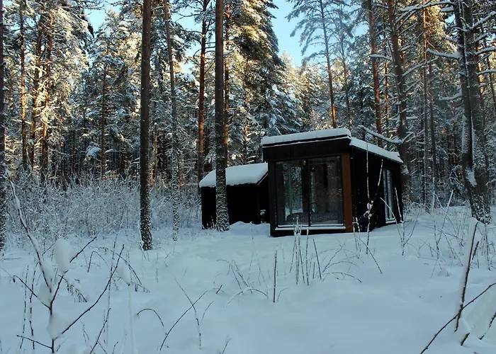 Minimaja Ja Saunamaja Vaatega Maennimetsale * Syytme