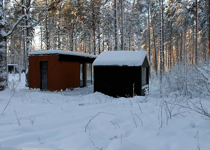 Minimaja Ja Saunamaja Vaatega Maennimetsale Syytme