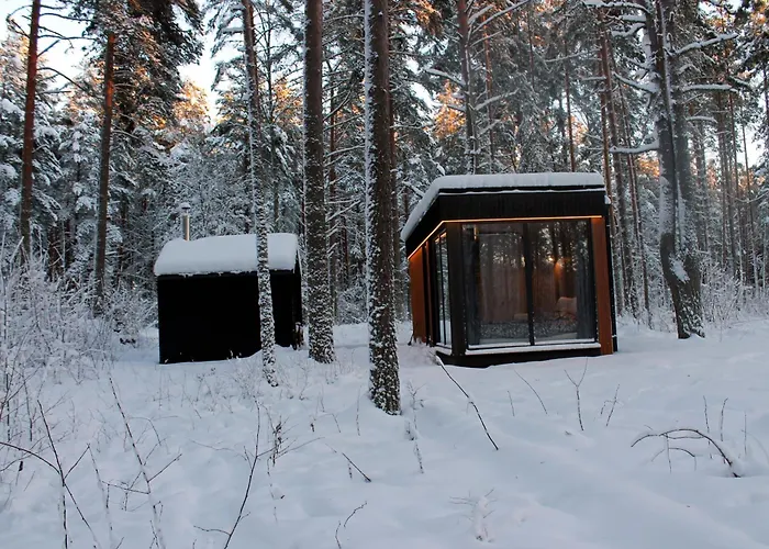 Minimaja Ja Saunamaja Vaatega Maennimetsale