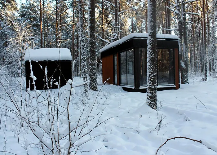 Minimaja Ja Saunamaja Vaatega Maennimetsale Syytme