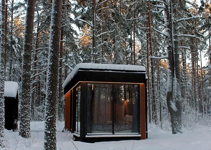 Minimaja Ja Saunamaja Vaatega Maennimetsale