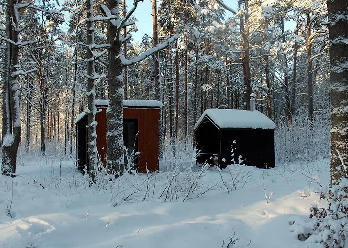 Minimaja Ja Saunamaja Vaatega Maennimetsale Syytme