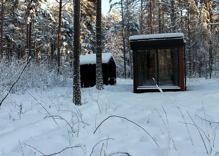Minimaja Ja Saunamaja Vaatega Maennimetsale