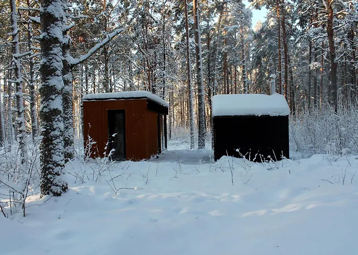 Apartmán Minimaja Ja Saunamaja Vaatega Maennimetsale
